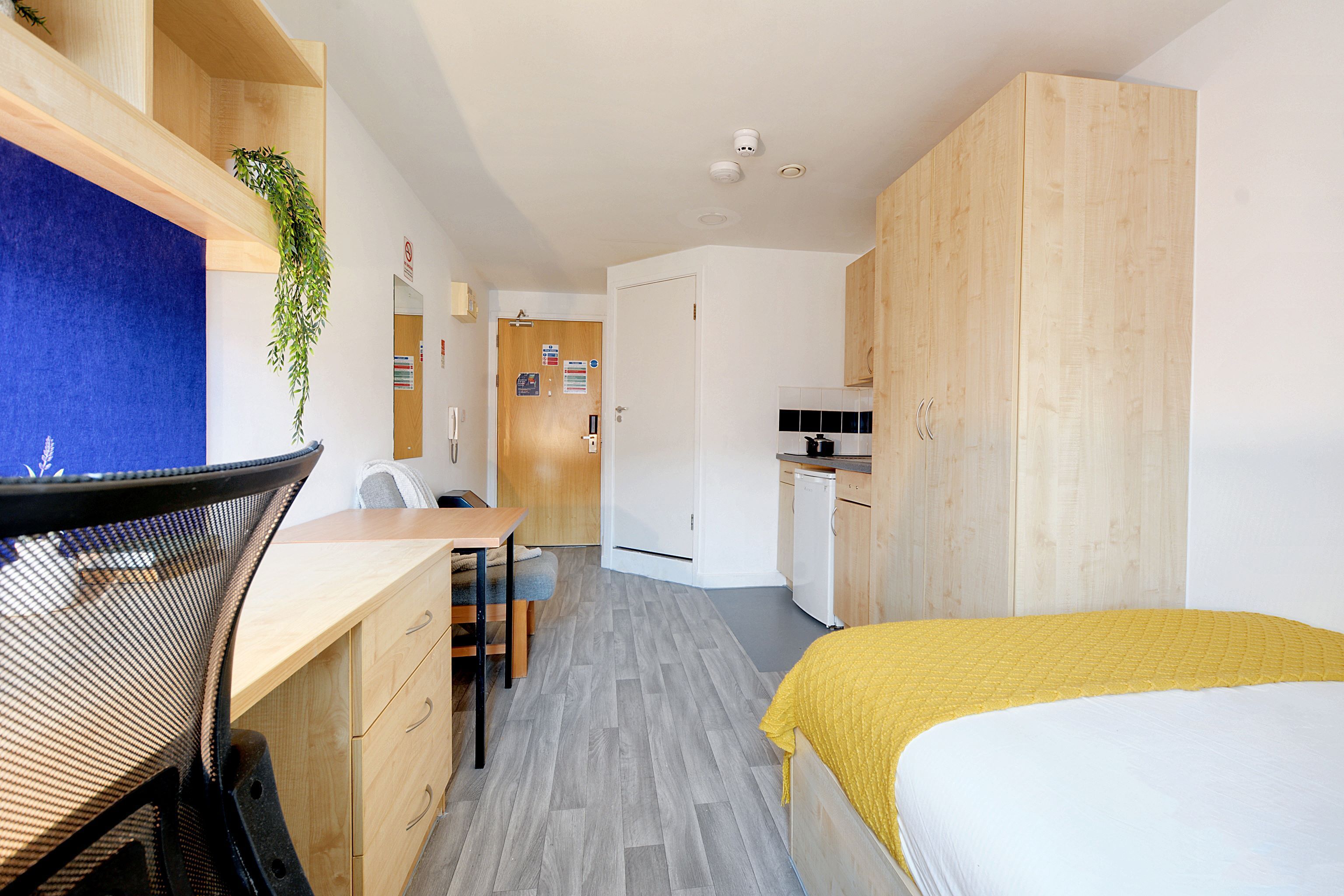 Studio Bronze - Ground Floor